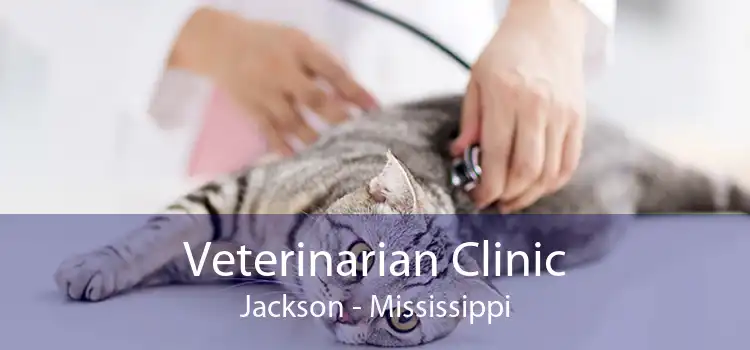 Veterinarian Clinic Jackson - Mississippi