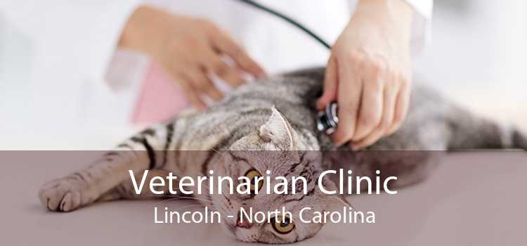Veterinarian Clinic Lincoln - North Carolina