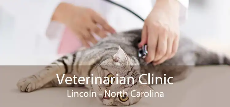 Veterinarian Clinic Lincoln - North Carolina