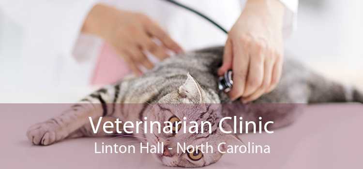 Veterinarian Clinic Linton Hall - North Carolina