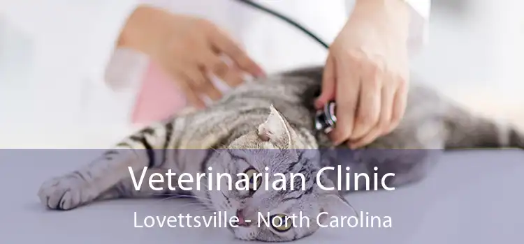 Veterinarian Clinic Lovettsville - North Carolina