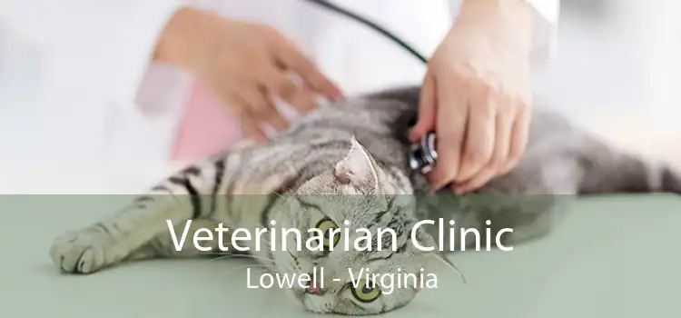 Veterinarian Clinic Lowell - Virginia