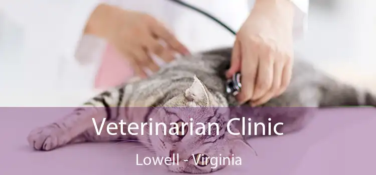 Veterinarian Clinic Lowell - Virginia