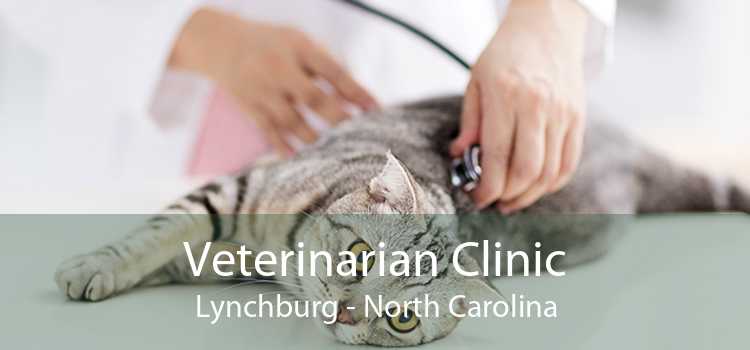 Veterinarian Clinic Lynchburg - North Carolina