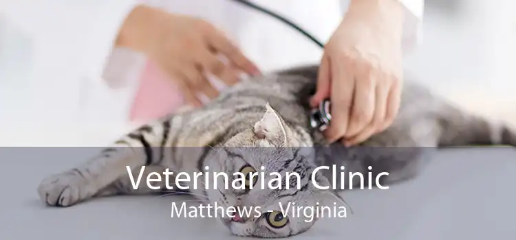 Veterinarian Clinic Matthews - Virginia