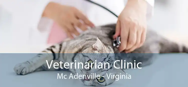 Veterinarian Clinic Mc Adenville - Virginia