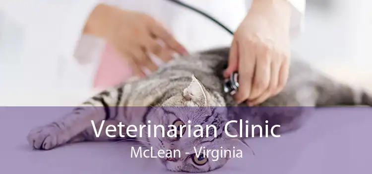 Veterinarian Clinic McLean - Virginia