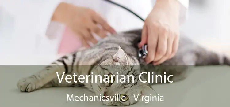 Veterinarian Clinic Mechanicsville - Virginia