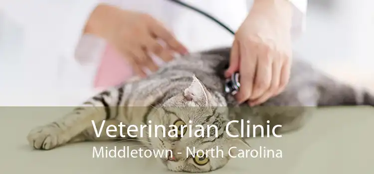 Veterinarian Clinic Middletown - North Carolina