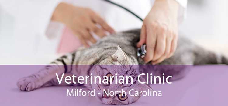Veterinarian Clinic Milford - North Carolina