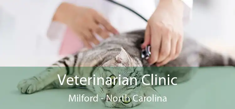 Veterinarian Clinic Milford - North Carolina