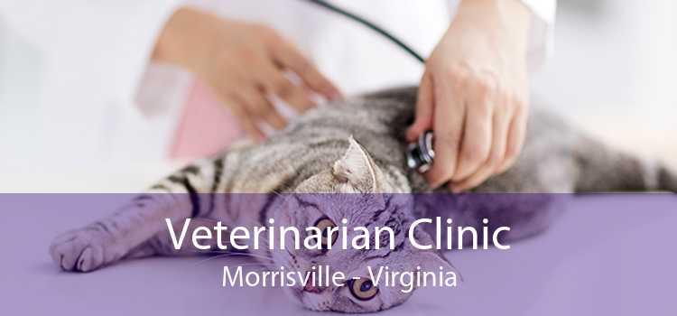 Veterinarian Clinic Morrisville - Virginia