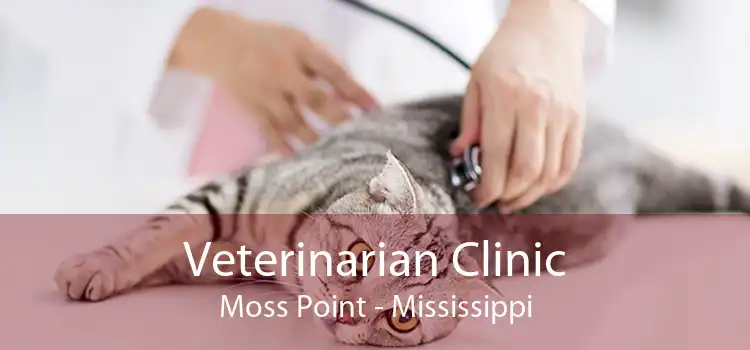 Veterinarian Clinic Moss Point - Mississippi