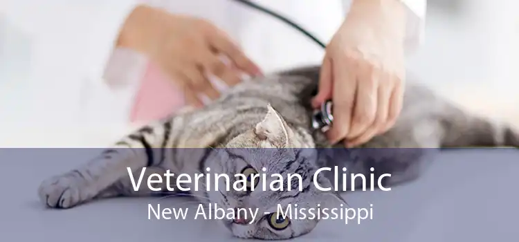 Veterinarian Clinic New Albany - Mississippi