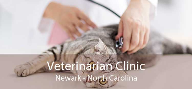 Veterinarian Clinic Newark - North Carolina