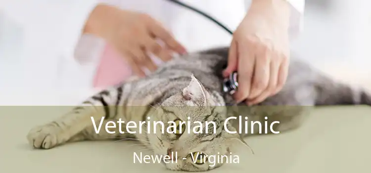 Veterinarian Clinic Newell - Virginia