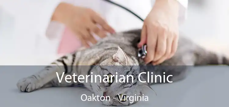 Veterinarian Clinic Oakton - Virginia