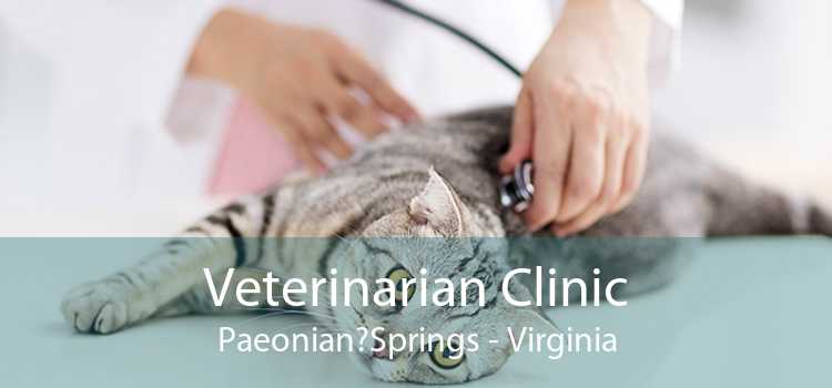 Veterinarian Clinic Paeonian Springs - Virginia
