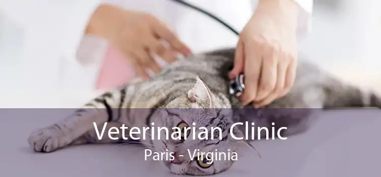 Veterinarian Clinic Paris - Virginia