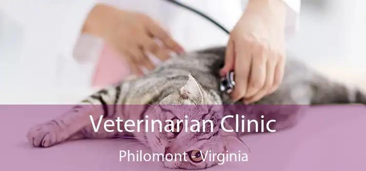 Veterinarian Clinic Philomont - Virginia