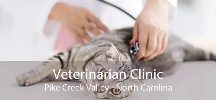 Veterinarian Clinic Pike Creek Valley - North Carolina