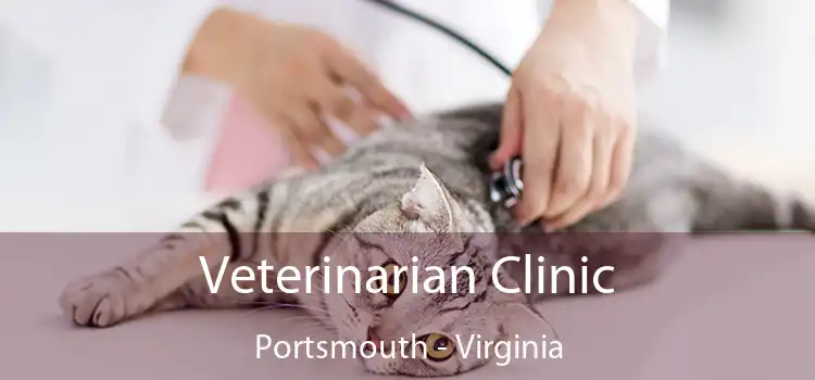 Veterinarian Clinic Portsmouth - Virginia