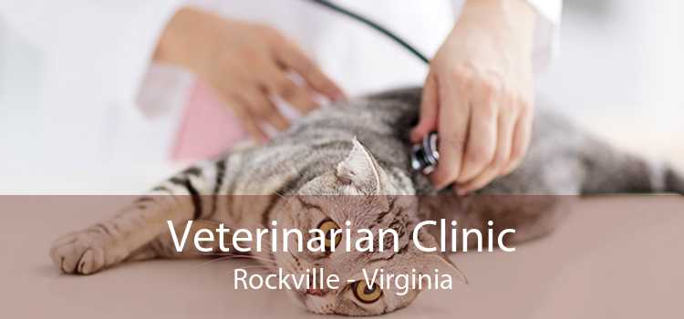Veterinarian Clinic Rockville - Virginia