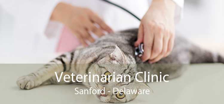 Veterinarian Clinic Sanford - Delaware