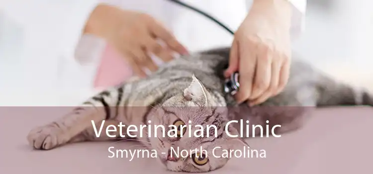 Veterinarian Clinic Smyrna - North Carolina
