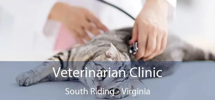 Veterinarian Clinic South Riding - Virginia