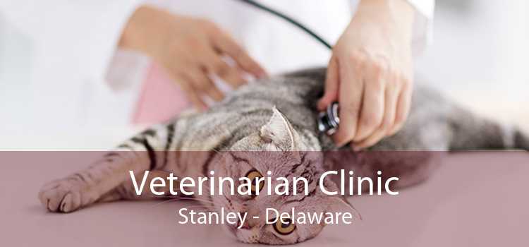 Veterinarian Clinic Stanley - Delaware