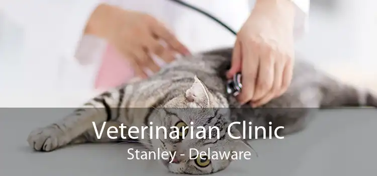 Veterinarian Clinic Stanley - Delaware