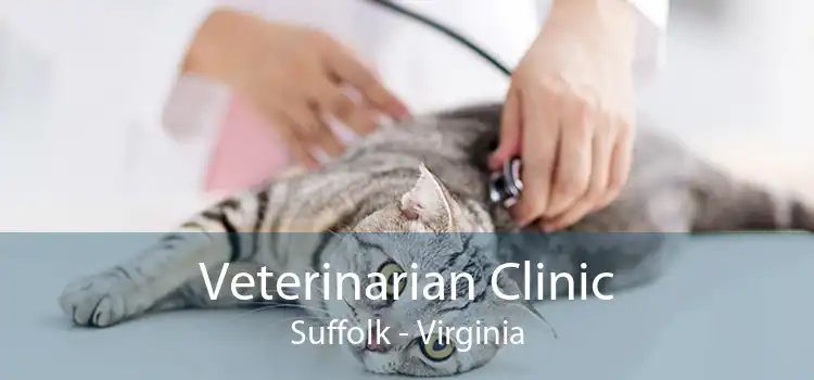 Veterinarian Clinic Suffolk - Virginia