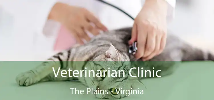 Veterinarian Clinic The Plains - Virginia