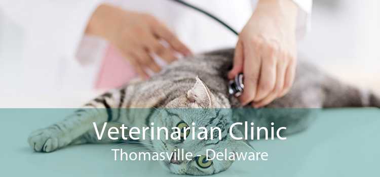 Veterinarian Clinic Thomasville - Delaware