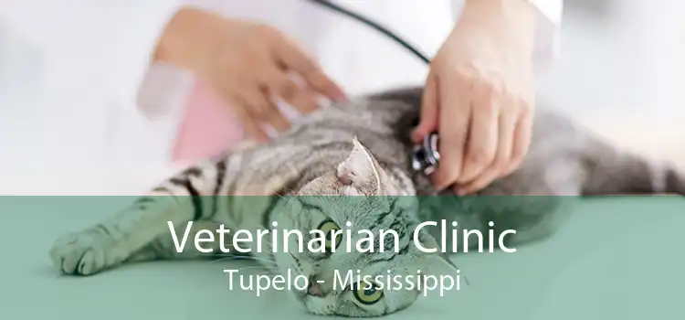 Veterinarian Clinic Tupelo - Mississippi