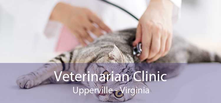 Veterinarian Clinic Upperville - Virginia