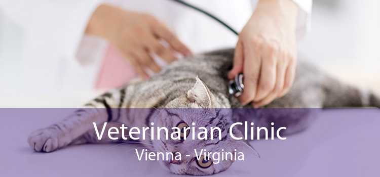 Veterinarian Clinic Vienna - Virginia