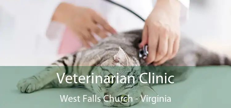 Veterinarian Clinic West Falls Church - Virginia