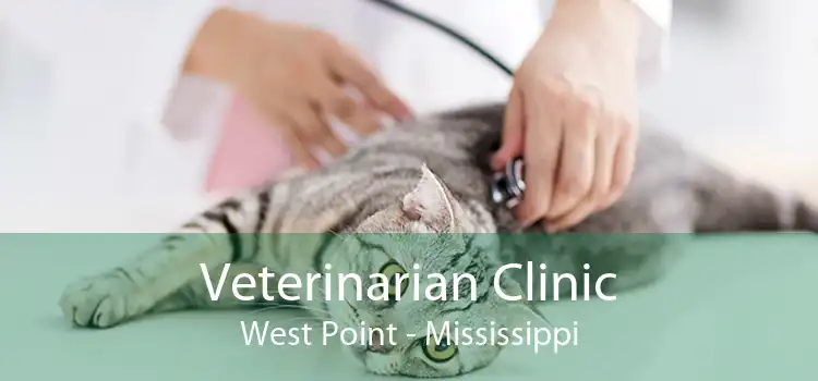 Veterinarian Clinic West Point - Mississippi