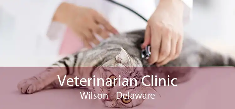 Veterinarian Clinic Wilson - Delaware