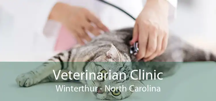 Veterinarian Clinic Winterthur - North Carolina
